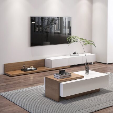Funksiyalı və qəhvə stolu ilə müasir TV lövhəsi